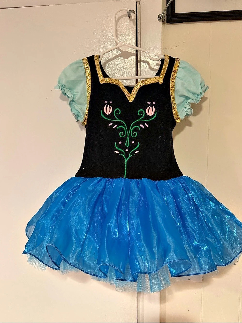 Frozen’s Ana Costume